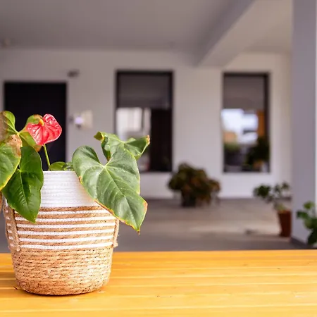 Apartamento Pagani Blue - Luxury Maisonette B1 *