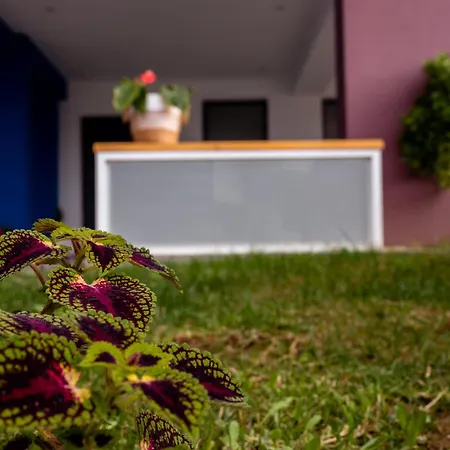 Pagani Blue - Luxury Maisonette B1