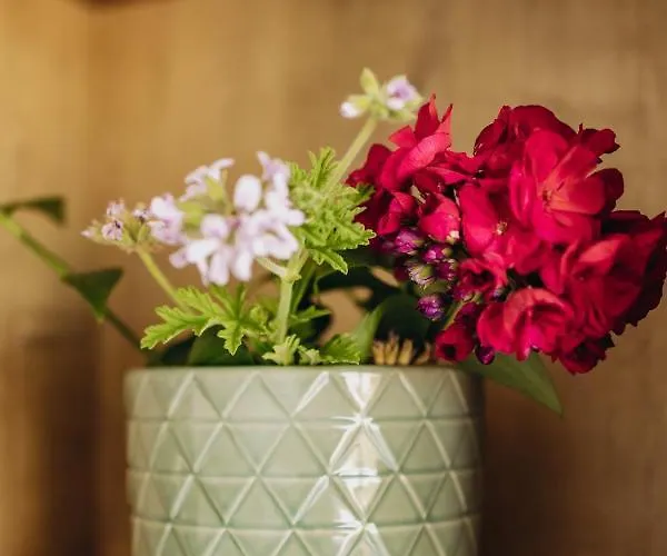 Appartement Pagani Blue - Luxury Maisonette B1 Kalamata